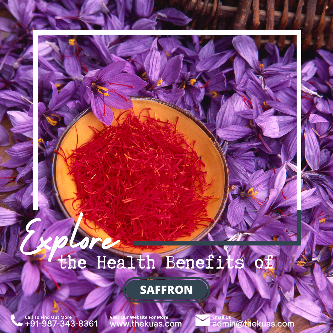 Health Benefits of Saffron - www.thekuas.com